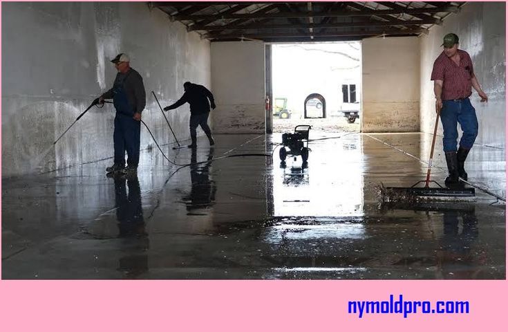 Why Hire Specialists to Find Hidden Water Behind Walls in Miami Homes and Offices