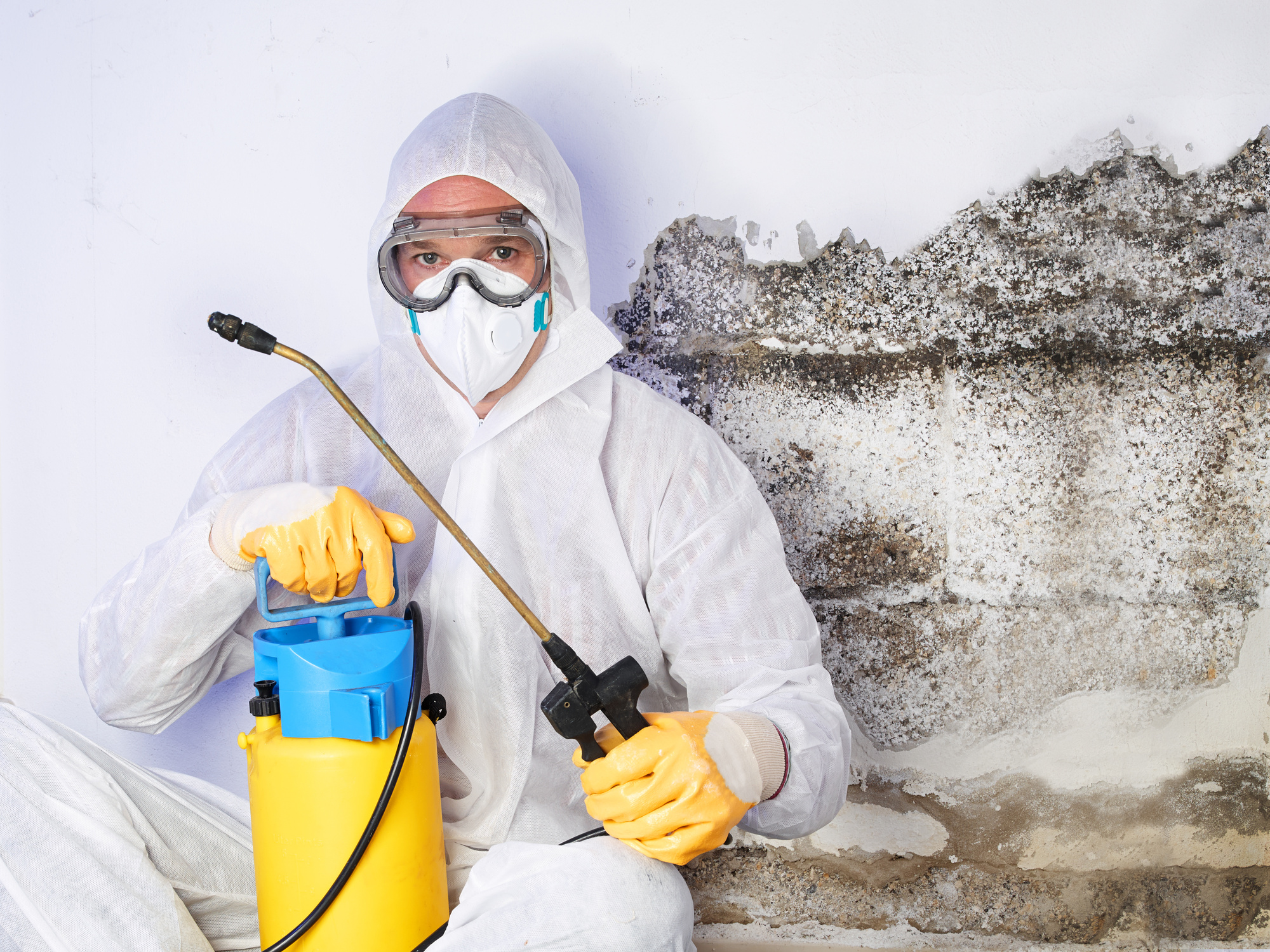 How Neutralizes Bacteria & Allergens Cleaning Services Help Reduce Illness in Miami Homes